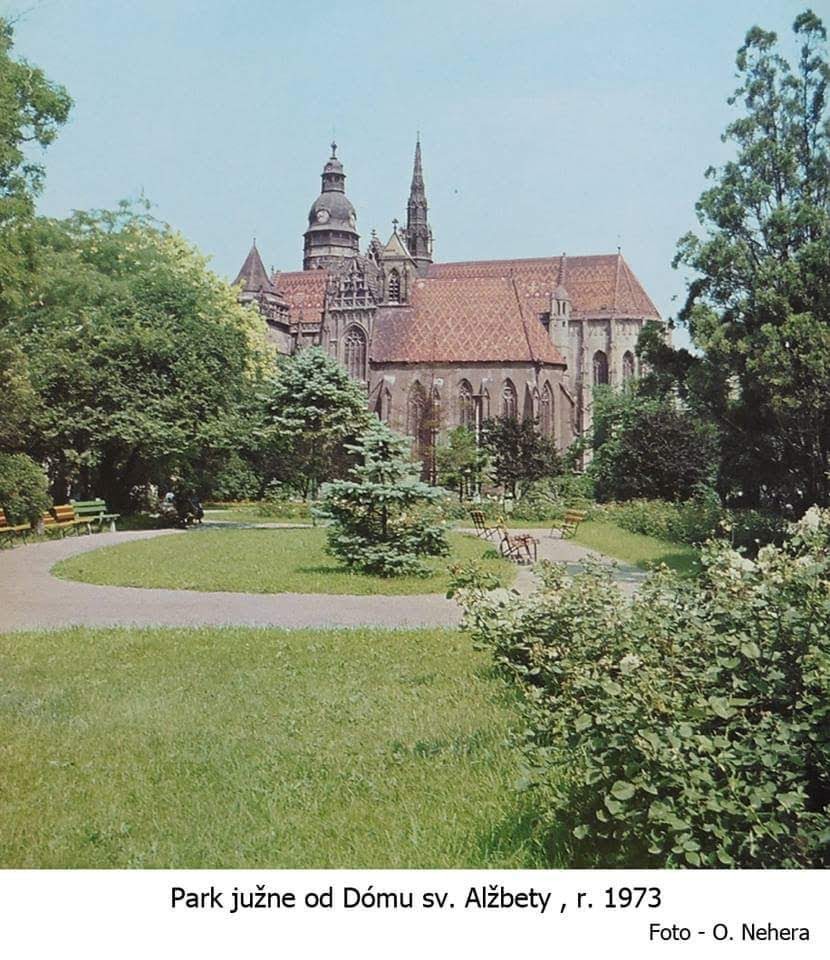 Dóm svätej Alžbety z parku